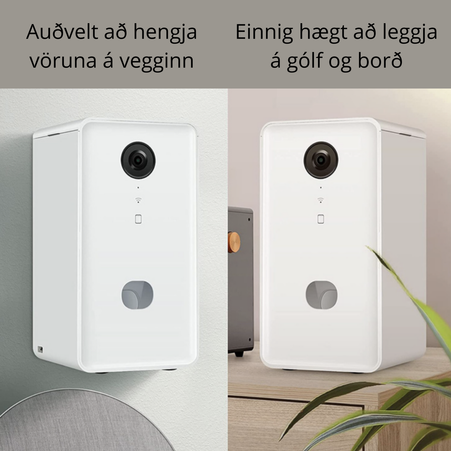 Gæludýravinurinn