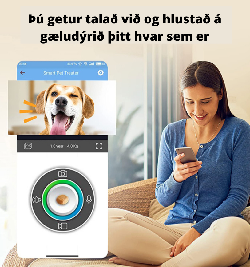 Gæludýravinurinn