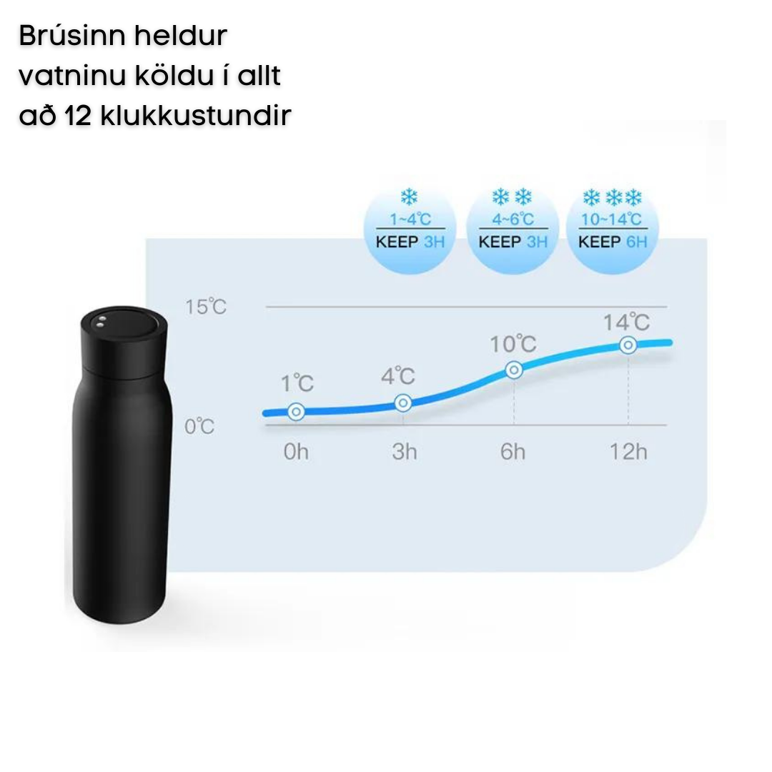 Smart Vatnsflaska