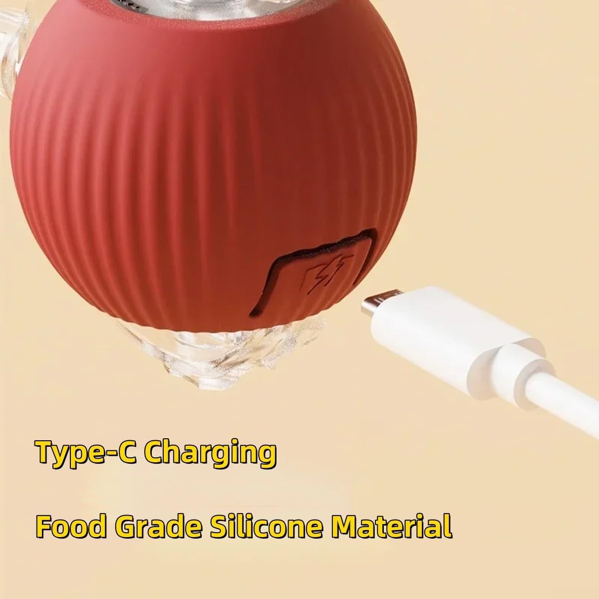 Eltingaleikur fyrir Gæludýr