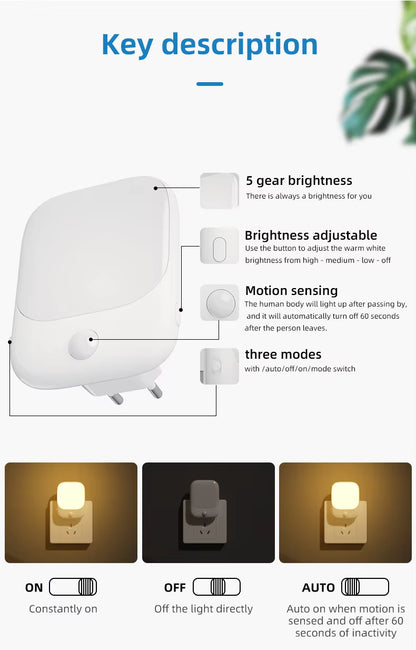 Næturljós Plug-in