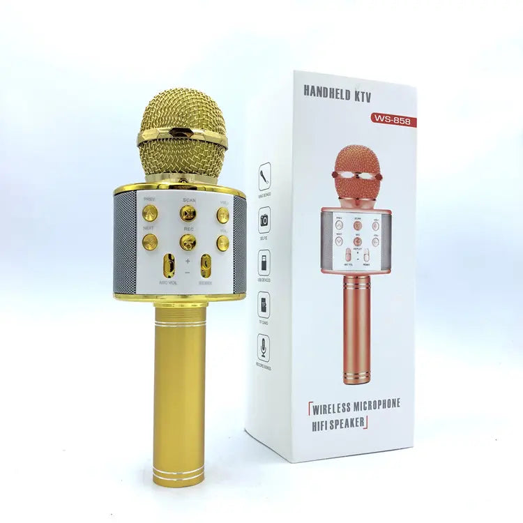 Þráðlaus Karaoke Míkrafónn