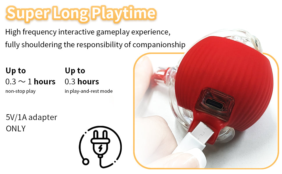 Eltingaleikur fyrir Gæludýr