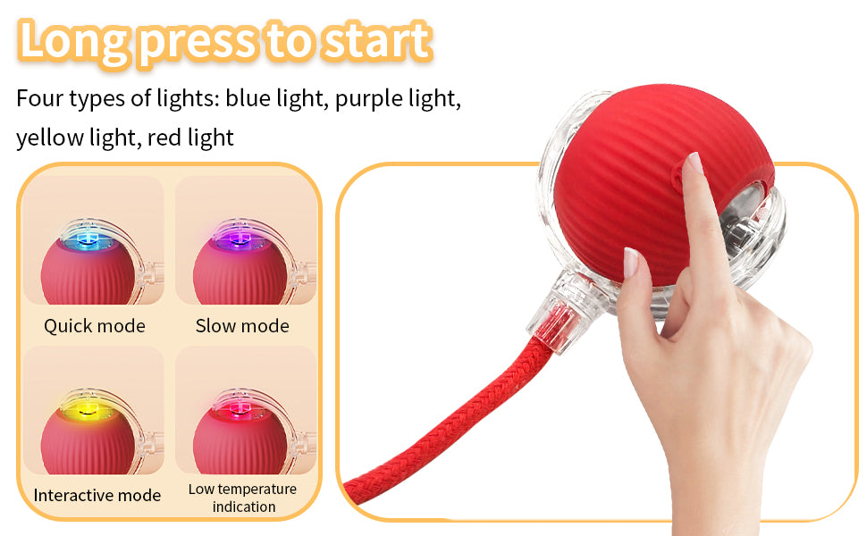 Eltingaleikur fyrir Gæludýr