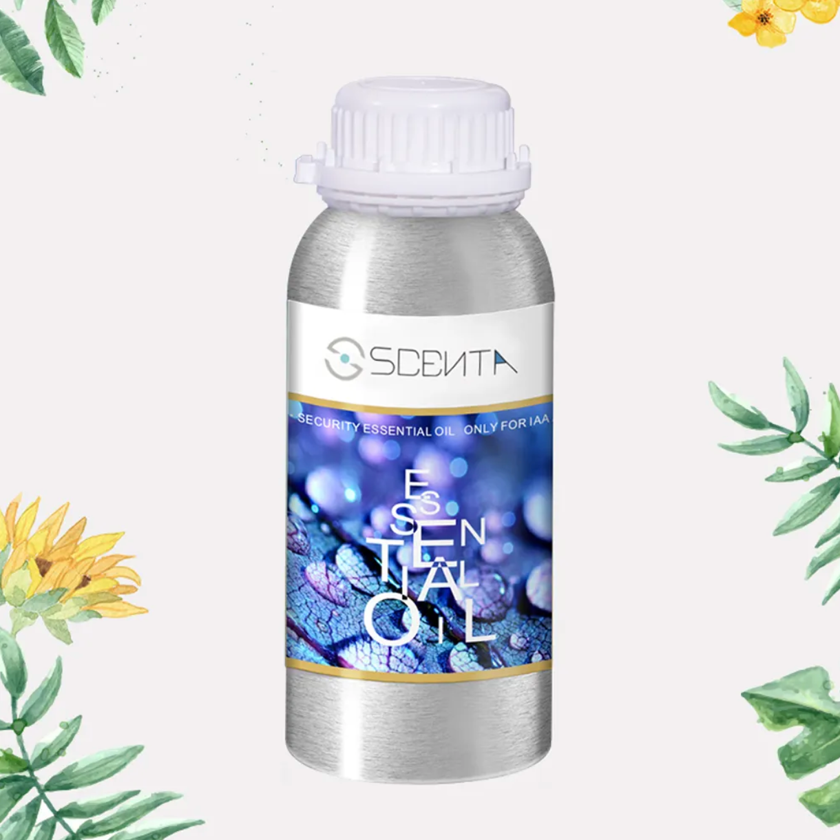 Ilmolía fyrir Veggilmstungu (100ml)