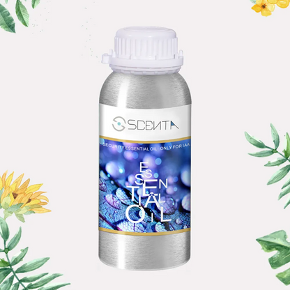 Ilmolía fyrir Veggilmstungu (100ml)