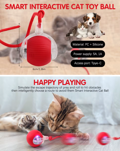 Eltingaleikur fyrir Gæludýr