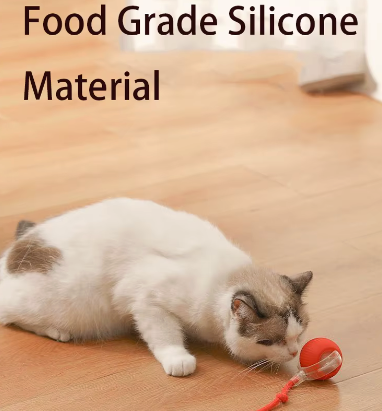 Eltingaleikur fyrir Gæludýr