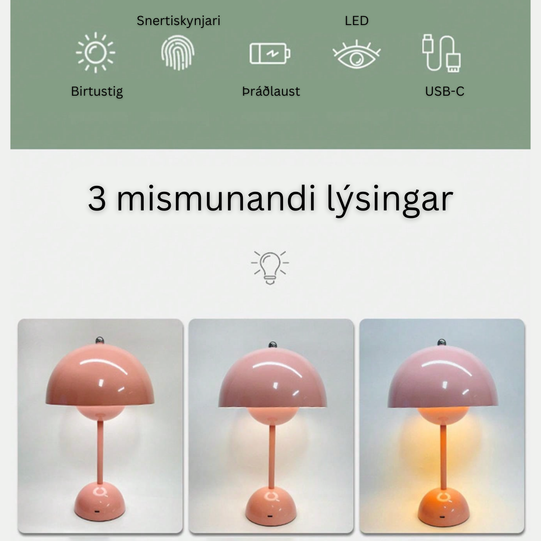 Nordic Lampi (Forpöntun)