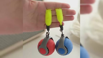 Eltingaleikur fyrir Gæludýr