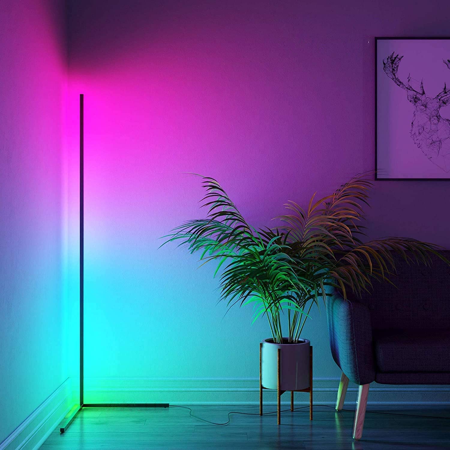 RGB Hornlampi